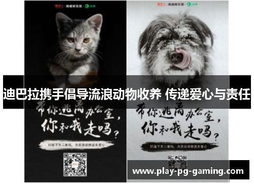 迪巴拉携手倡导流浪动物收养 传递爱心与责任