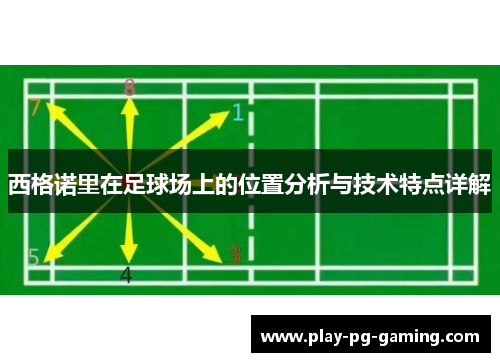 西格诺里在足球场上的位置分析与技术特点详解