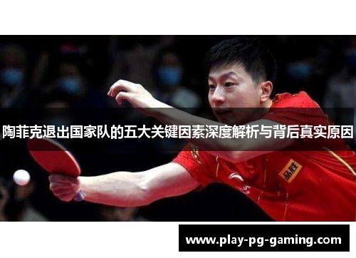 陶菲克退出国家队的五大关键因素深度解析与背后真实原因