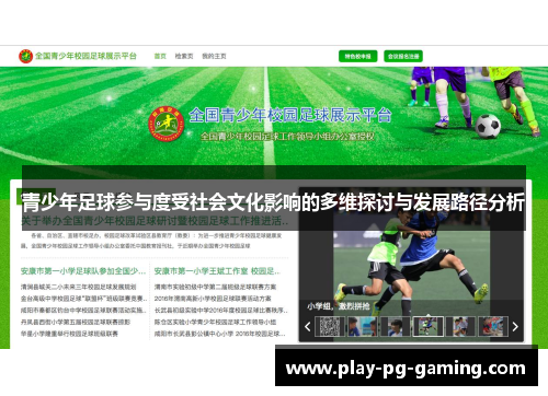 青少年足球参与度受社会文化影响的多维探讨与发展路径分析